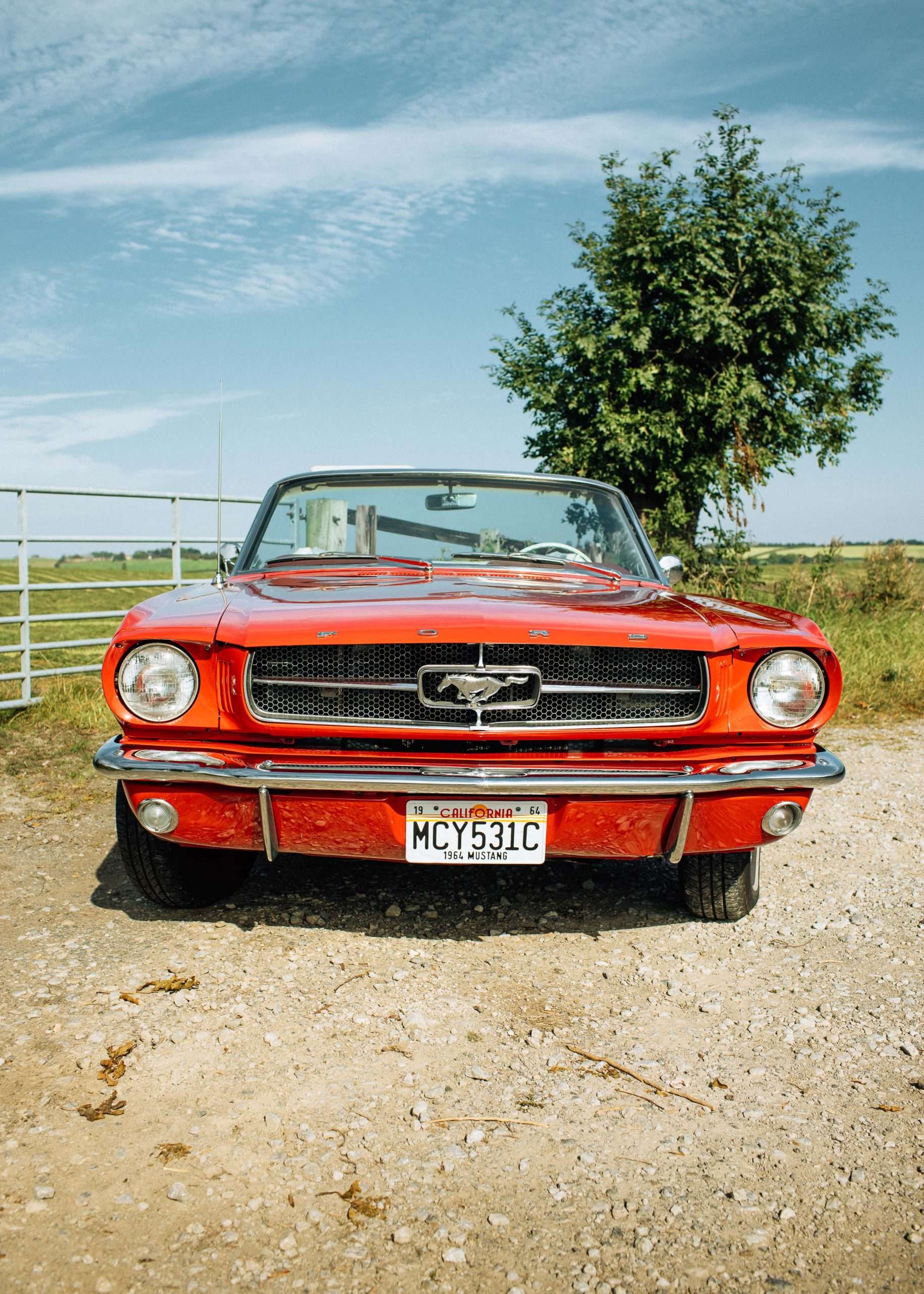 Ford Mustang September 23 49 Ford Mustang September 23 49
